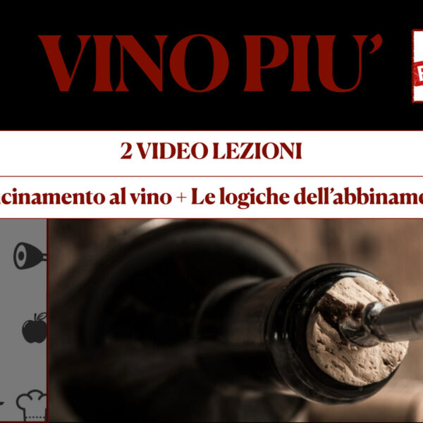 VINOPIU': Videocorsi "Il metodo degustativo" + "Le logiche dell'abbinamento"