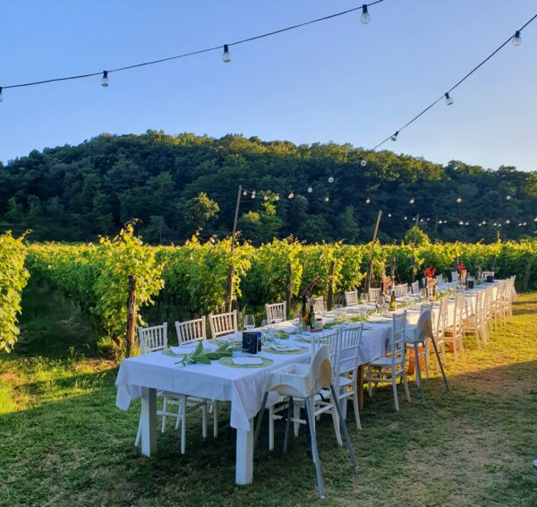 Pranzo in vigna