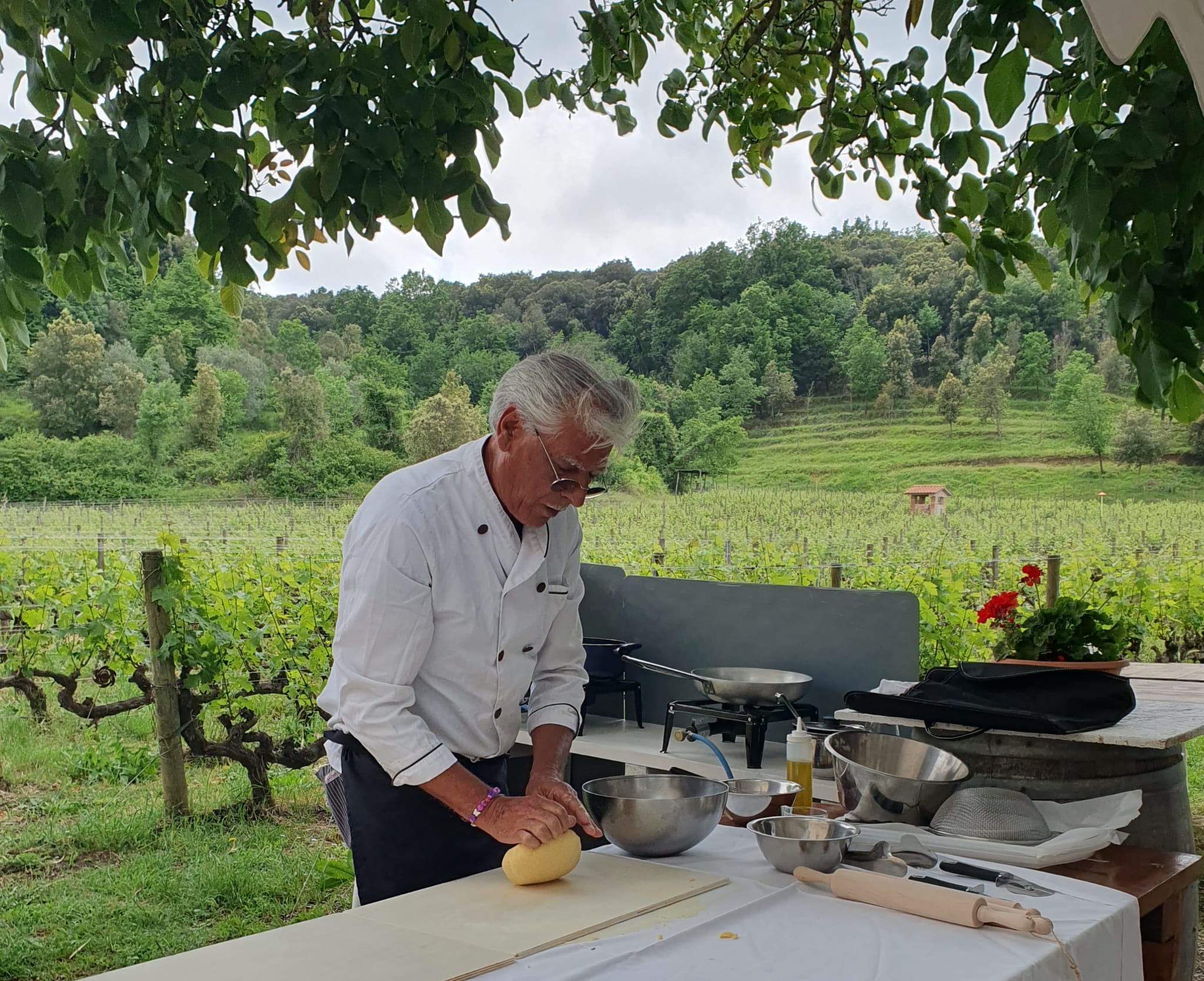 Pranzo in vigna - immagine 6