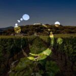 Winery in Montescudaio Costa Toscana