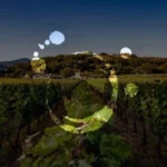 Winery in Montescudaio Costa Toscana
